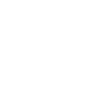 lock icon