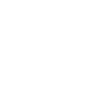 reel icon