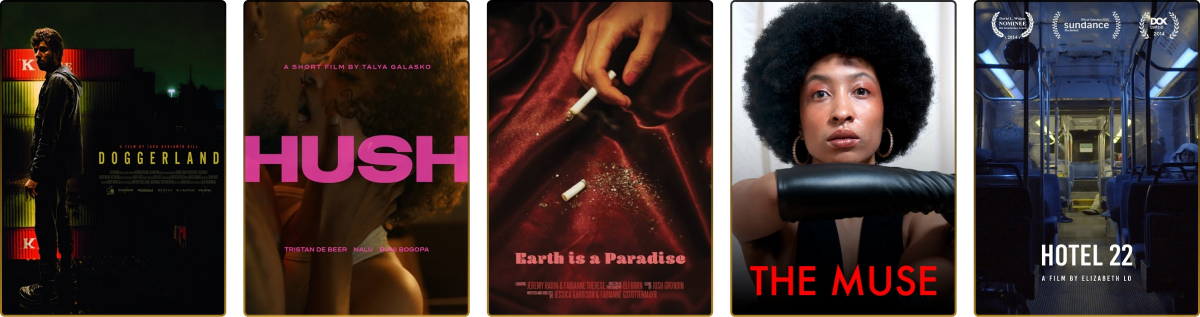 splash screen strip 2