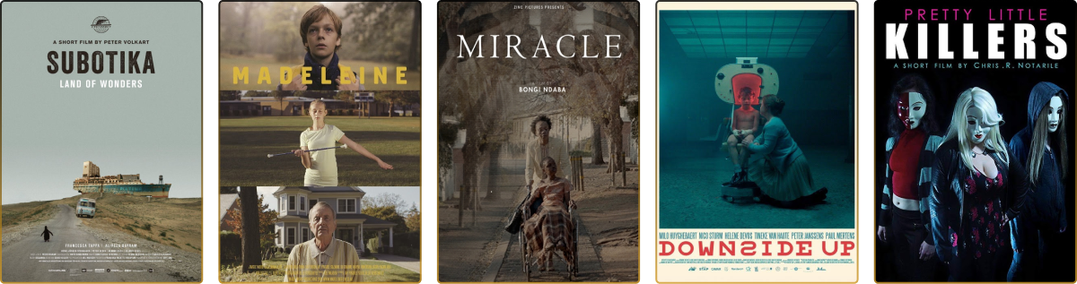 splash screen strip 4