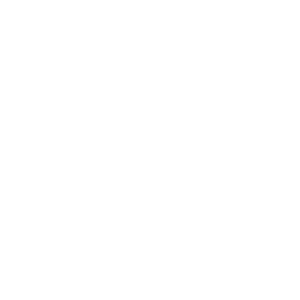 bill-splitter-white icon