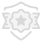 check-icon