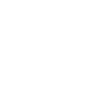 currency-converter-white icon