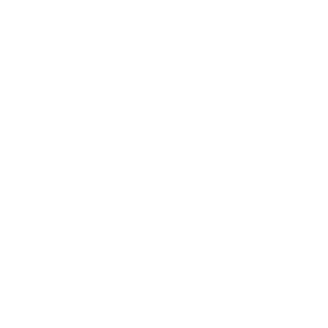 expense-tracker-white icon