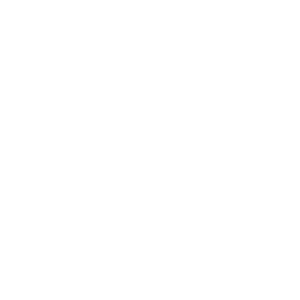 loan-calculator-white icon